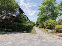 在青城山365南院，我把日子过成了诗