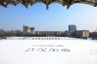 带孩子看365学能课展示课，我被眼前这一幕震住了