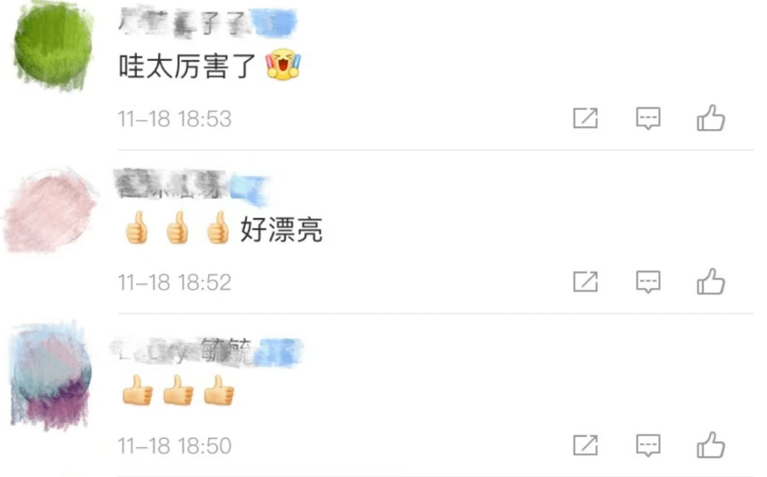 地衣最贵349元一斤?这石头上的菜到底贵在哪? 地衣最贵349元一斤?这石头上的菜到底贵在哪?