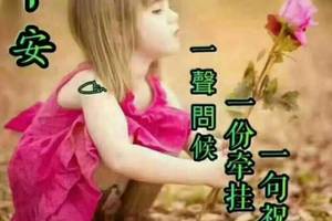 我为什么突然开始搜集365天祝福语
