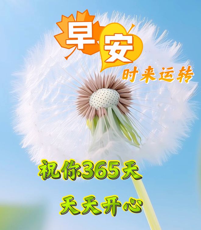 我为什么突然开始搜集365天祝福语