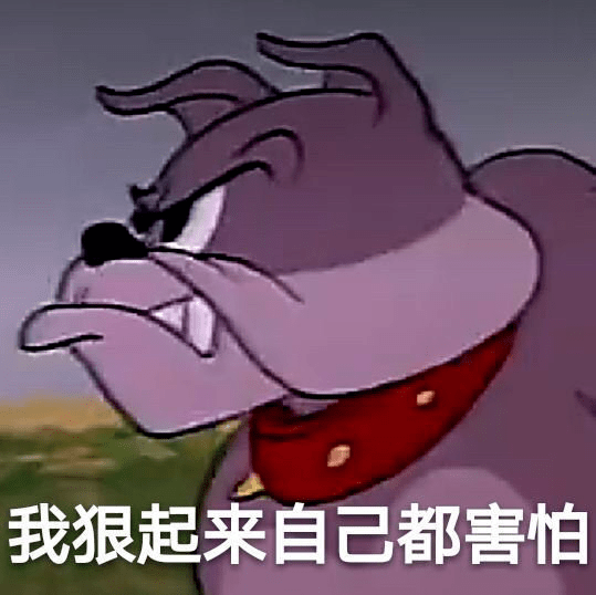 我花了三个晚上看完365dni完整版飞龙，有些话实在憋不住了