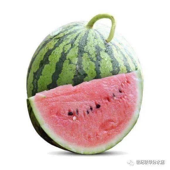 365天都吃西瓜是种什么体验？第三季我彻底破防了