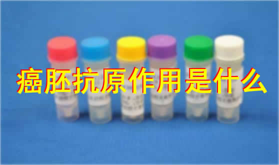 和365心血管刘兵医生打交道这一年,我把心脏那点事儿整明白了 和365心血管刘兵医生打交道这一年,我把心脏那点事儿整明白了
